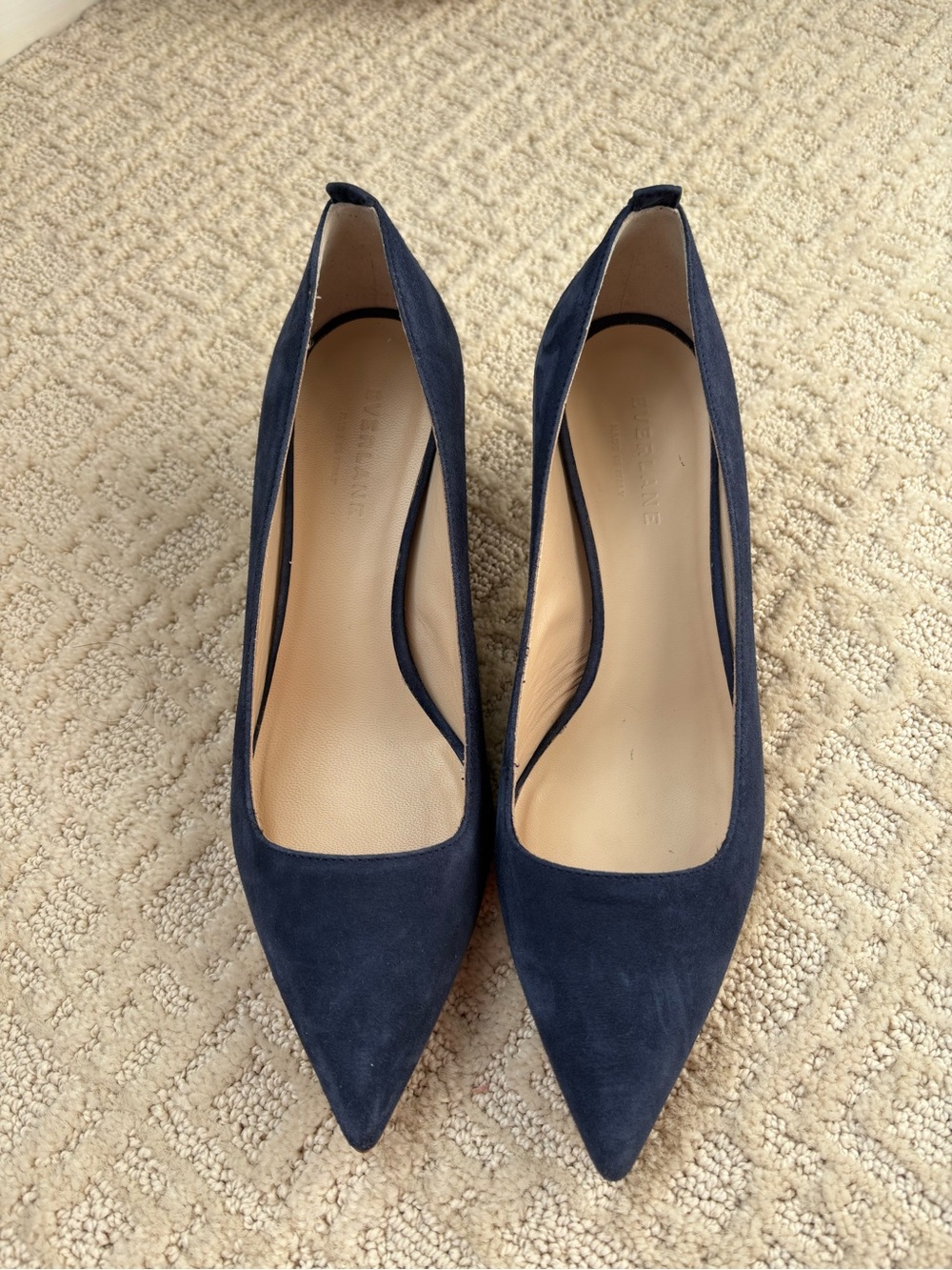 Everlane Navy Suede Pointed-Toe Pumps